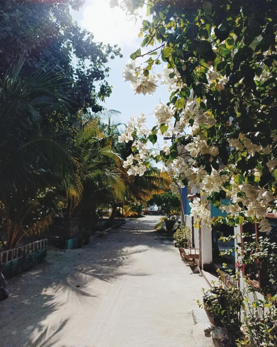 Kudhi Boli Beach House Thulusdhoo Exterior foto