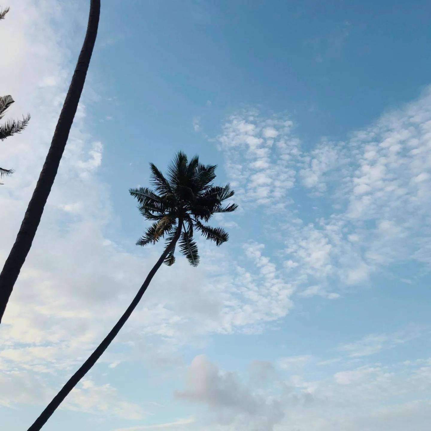 Kudhi Boli Beach House Thulusdhoo Exterior foto